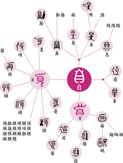 「自」字衍生的樹狀圖