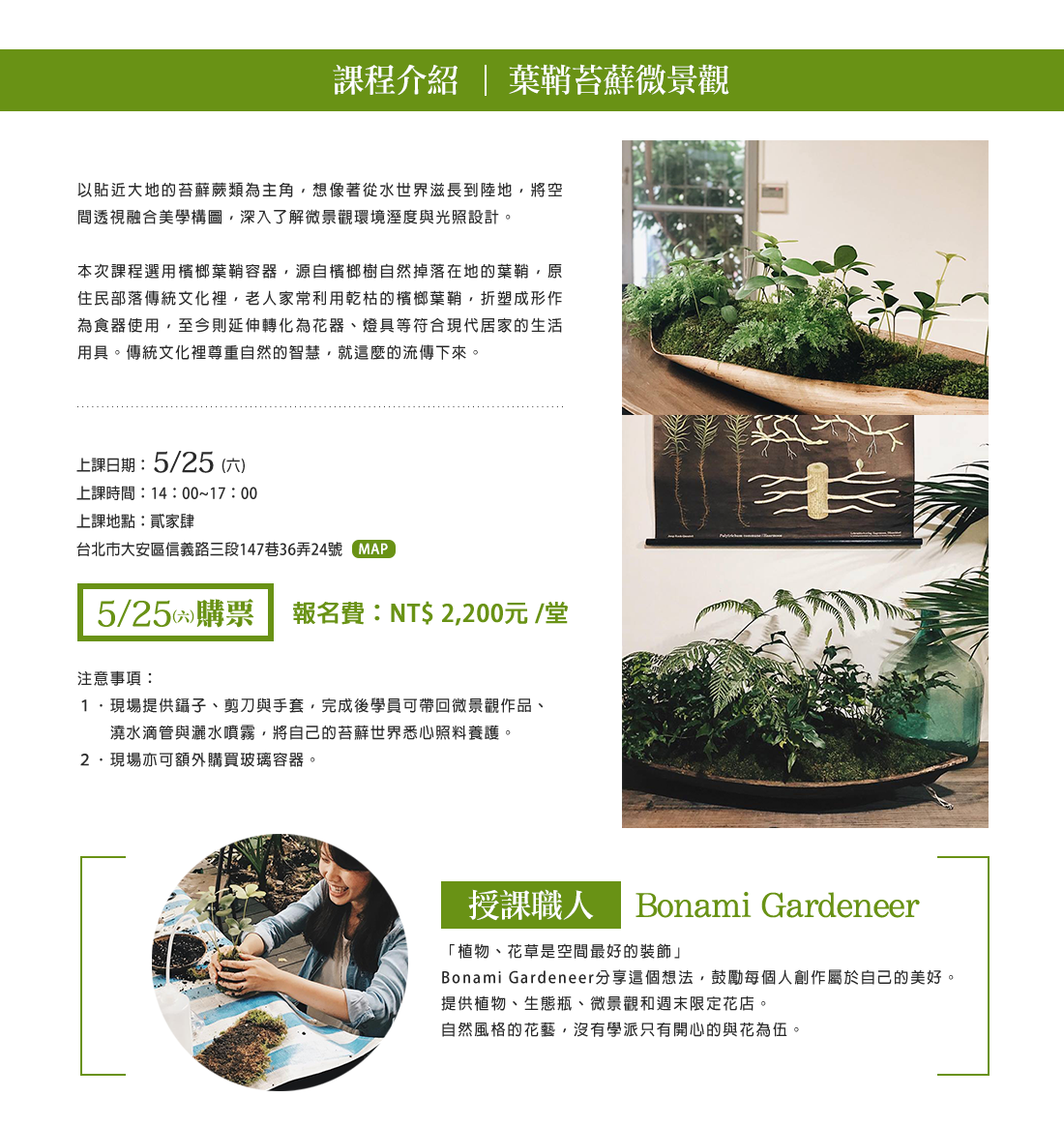 Bonami Gardeneer,葉鞘苔蘚微景觀,苔球