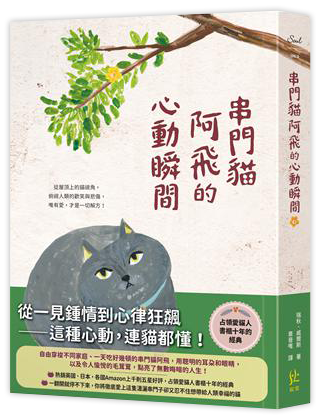 串門貓阿飛的心動瞬間