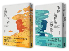 胡冠中作品集：水裡的回音＋雨像無數條河流落下